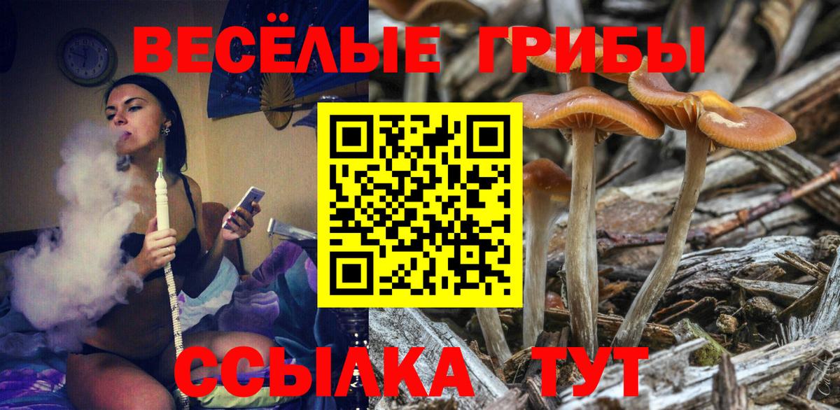 Галлюциногенные грибы Psilocybine cubensis Дальнереченск