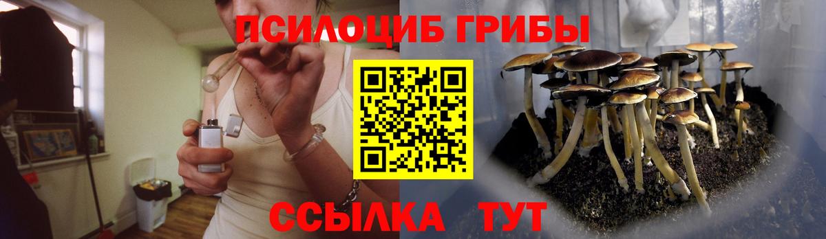 Галлюциногенные грибы мицелий  Вход с VPN  Дальнереченск 